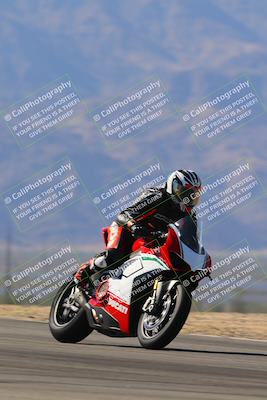 media/Nov-11-2023-SoCal Trackdays (Sat) [[efd63766ff]]/Turn 8 Set 2 (1040am)/